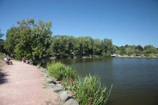 42m overlooking the pine forest and near the sea - Les Sables-d'Olonne - 1
