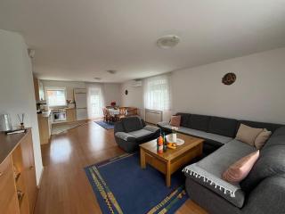 Apartment in a house - Sarajevo - 7