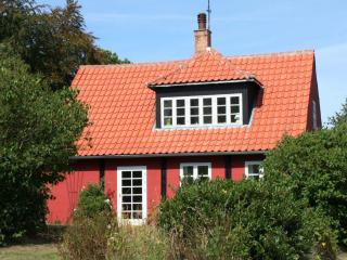 Three-Bedroom Holiday home in Svaneke 1 - Svaneke - 0