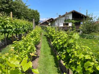 Apartment Am Weinberg - Rimsting - 8