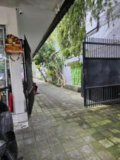 Rumah Kayu Putih - Sanur - 8