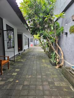 Rumah Kayu Putih - Sanur - 9