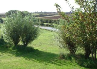 Willows Holiday Park - Withernsea - 2