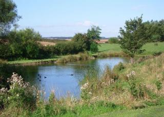 Willows Holiday Park - Withernsea - 1
