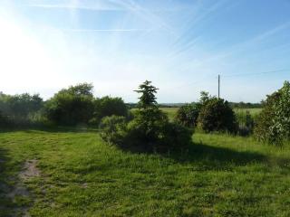 Gite de Bellefeuille à 20mn de Toulouse - 8