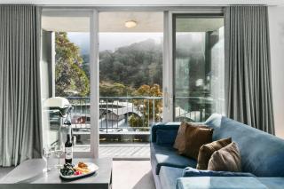 Snowman 6 - Thredbo - 7