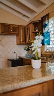 Serene Artistry - Secure 1-BR Haven in Ocho Rios Jamaica - Mammee Bay - 9