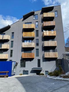 Green Escape Mavrovo - 9