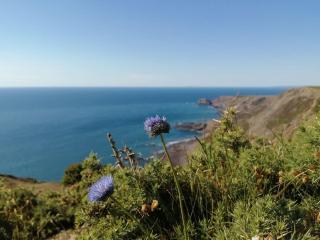 Kiberick Cottage at Crackington Haven, near Bude and Boscastle, Cornwall - Bude - 0