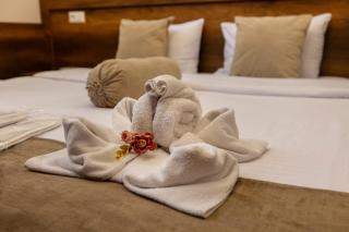Hestia Boutique Hotel - Gori - 5