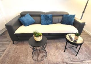 Appartement de standing T2 Hypercentre Le Puy en Velay - Le Puy-en-Velay - 7