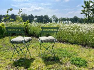 Weidezicht - Cromvoirt - 6