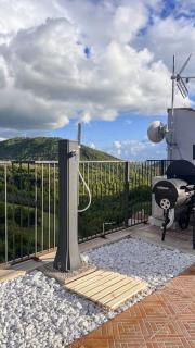 I leoni della Torre - San Gregorio da Sassola - 6