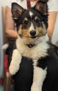 Chambre calme et agréable - 9