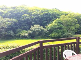 Rusey Cottage at Crackington Haven, near Bude and Boscastle, Cornwall - Bude - 7