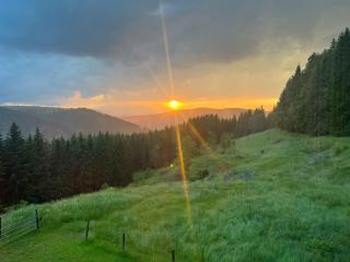 Forsthaus Gray 4 - Sankt Veit an der Glan - 4