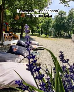 Apartment MARE - Zagorje - 8
