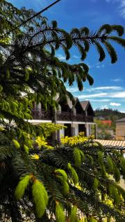 RUBEL APARTHOTEL&SPA - 5