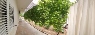 Apartment Cvita - Trogir - 9