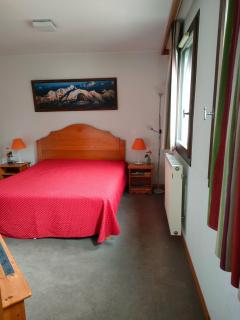 charmant appartement 2-4 personnes coeur de chamonix - Chamonix - 1