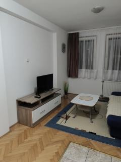 Stan u centru Bijeljine, 38m2, luksuzno opremljen, internet, kablovska, klima - Bijeljina - 3