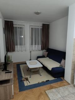 Stan u centru Bijeljine, 38m2, luksuzno opremljen, internet, kablovska, klima - Bijeljina - 1