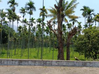 Rosewood farmhouse - Kanthalloor - 5