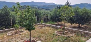 Elvis's vacation house - Vlorë - 3