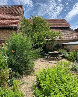 Gîte de charme à la campagne, proche de Strasbourg - Fessenheim-le-Bas - 6