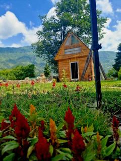 wooden house - Koromkhet'i - 6