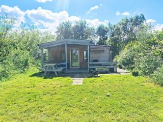 Beautiful Wooden tiny house, Glamping cabin with hot tub 2 - Tuxford - 9