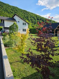 Luxury house "Heart of Nature" Visoko - Visoko - 3