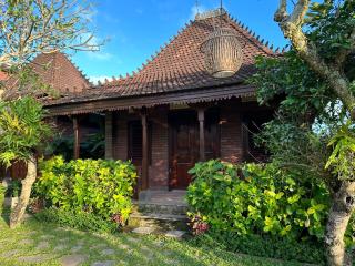 Munay Villa - Ubud - 5