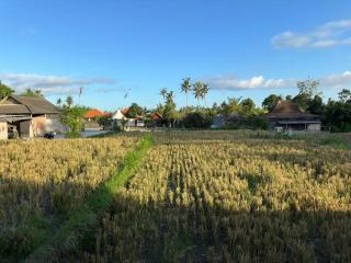 Munay Villa - Ubud - 4