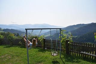 Alm-Ferienhaus Schleinzer - Prebl - 3