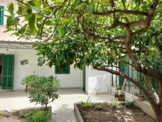 Sunny House - Parghelia - 3