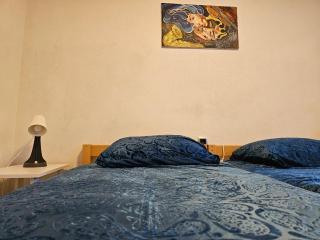 Luxury house "Heart of Nature" Visoko - Visoko - 8