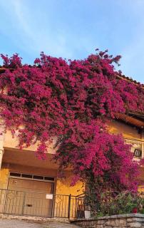 AGAPI Holiday House - Vouníon - 5