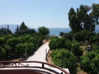 Edgar Hotel - Vlora - 1