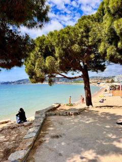 Luxury Penthouse near the Beach - Antibes - 1