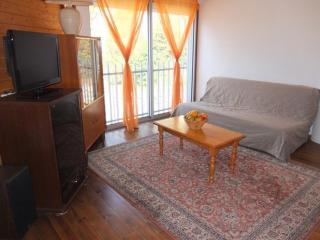 Appartement pour 6 pers, parking, animaux admis - FR-1-403-11 - Barèges - 2