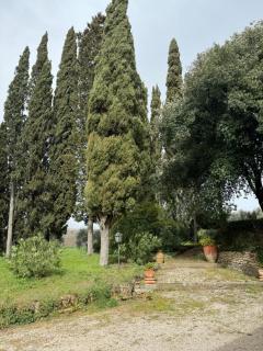 Il Paradiso villa in Valdichiana - Sinalunga - 2
