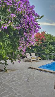 Villa Sazanka with private pool - Kamenari - 0