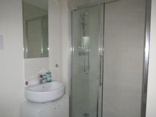 Impeccable Home with Parking - Bristol - 5