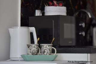 Studio apartman CENTAR - Ðurđevac - 4