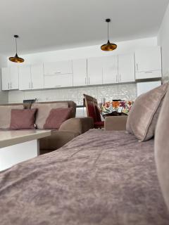 Entire Apartment - near the Center - Pristina - 4
