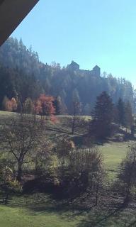 Gasthof Hubertus - Saalfelden am Steinernen Meer - 5
