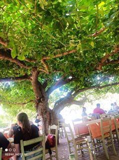 Marathos Hill - Volos - 6