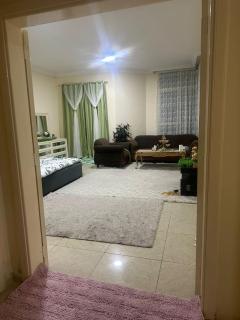 The Ajman Best Furnished Room - 3