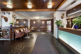 AKTIVHOTEL Weisser Hirsch - Mariazell - 7